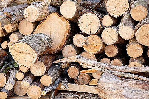 Market Conditions and Lumber Prices